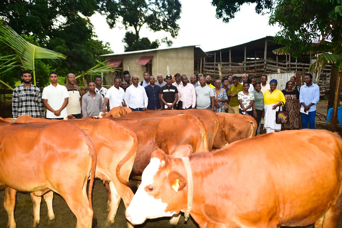 Washiriki wa semina iliyopita wakiwa pamoja karibu na ng’ombe shambani